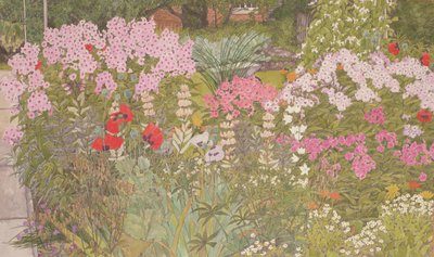 Pink Phlox in the Herbaceous Border by Linda Benton